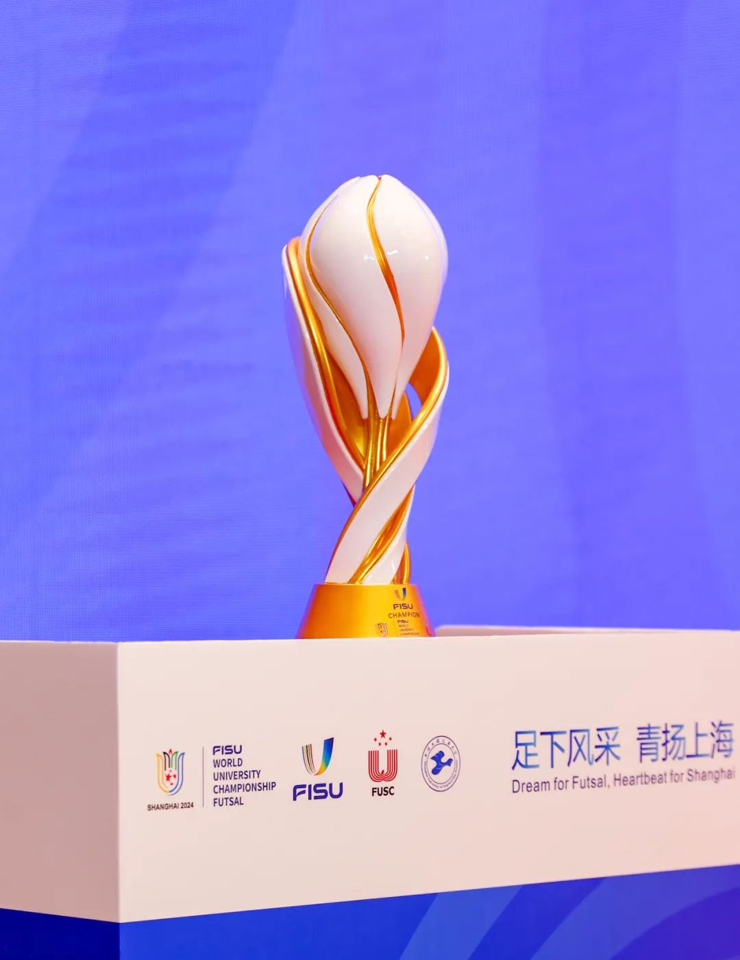 独特风采:足球盛事各路强队角逐锦标的简单介绍